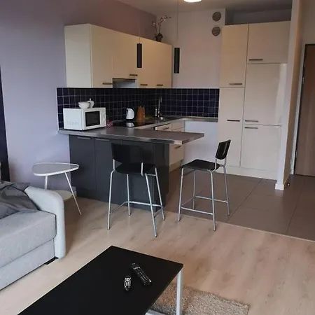 - Pradzynskiego Appartement